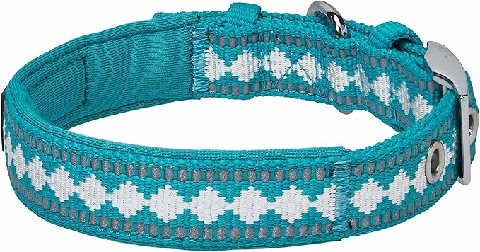 Blueberry Pet Reflective Jacquard Dog Collar with Neoprene Padding & Metal Buckle | Soft & Adjustable Safety Collar - Peacock, Neck 9-12.5", for Small Breed