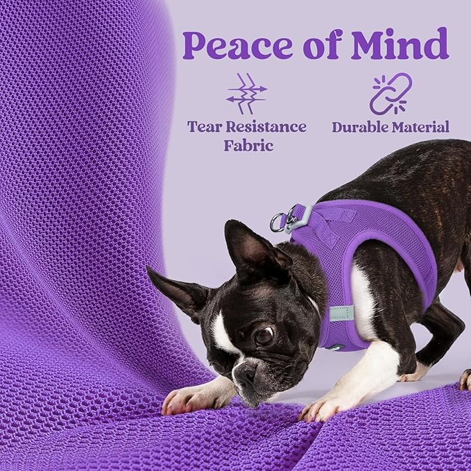rabbitgoo Small Dog Harness, Step-in Soft Mesh Puppy Vest with Safety Buckle, Breathable Reflective Pet Harness for Small Sized Dogs, Purple M