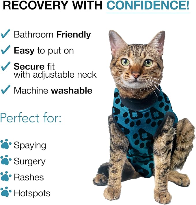 Bellyguard Cat Recovery Suit Female and Male, Comfy Onesie After Surgery, Kitten Clothes for Post-Op Care, Neuter and Spay Healing Outfits for Cats Only – Comfortable Kitten and Adult Cone Alternative