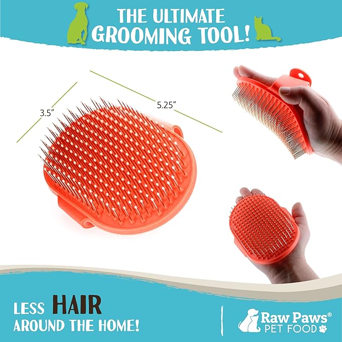 Raw Paws Grooming Brush, 1 ct - Hand-Held Rubber Tipped Pin Brush for Dogs & Cats - Deshedding Dogs with Short Hair & Long Hair - Dog Grooming