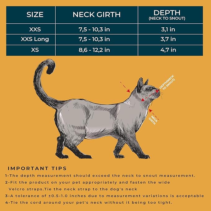 Cat Cone Collar – Colorful Cat Pattern - Lightweight Recovery Cone for Cats, Anti-Lick & Anti-Scratch, Vet Recommended, Elizabethan Collar (Colorful, XS [Neck Girth: 8.6"-12.2"])