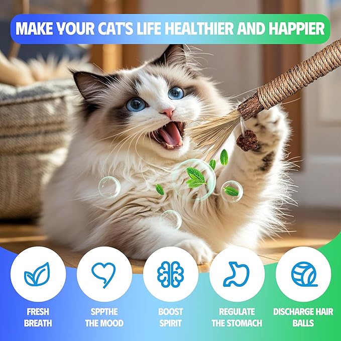 Cat Toys Chew Rope & Silvervine Sticks for Bored Indoor Adult Cats, 4Pcs Interactive Catnip Toys for Cats with Refillable Natural Catnip Bag for Teeth Cleaning