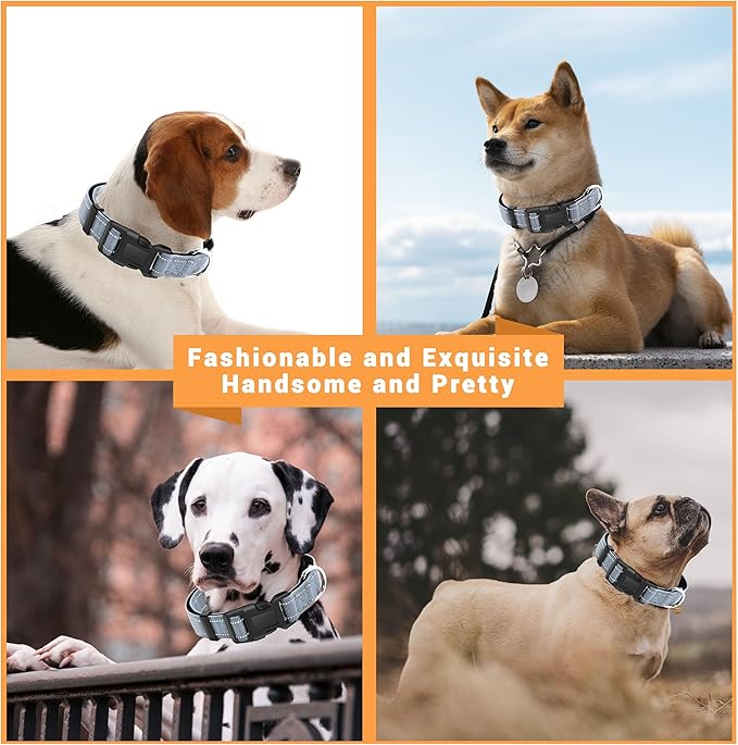 2 Pack Reflective Dog Collar with Safety Locking Buckle, Adjustable Soft Breathable Comfortable Nylon Pet Collar for Small, Medium and Large Dogs, Gray, L