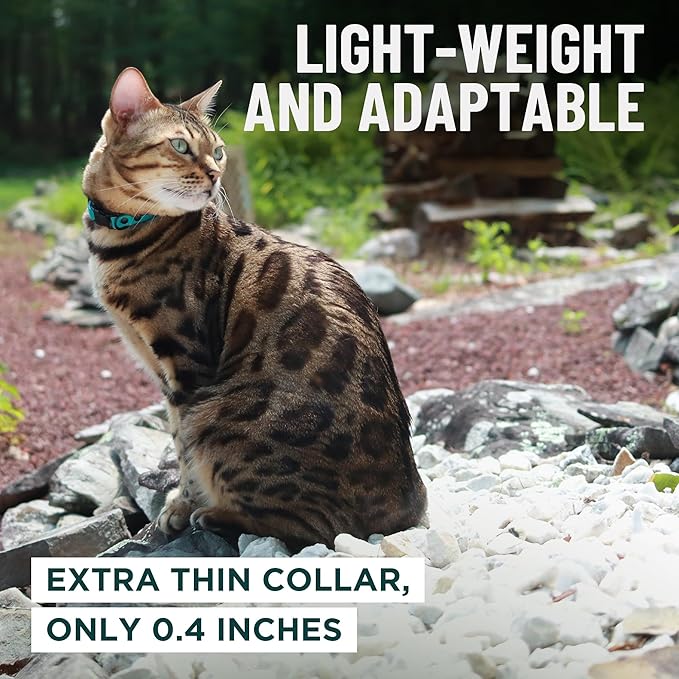 OutdoorBengal Pink Breakaway Kitten Collar - Ultra Safe Quick Release Cat Collar for Small Kittens Under 6 Months – Soft-Padded, Lightweight, Adjustable, Thin and Comfortable, No Bell (Pink, Kitten)