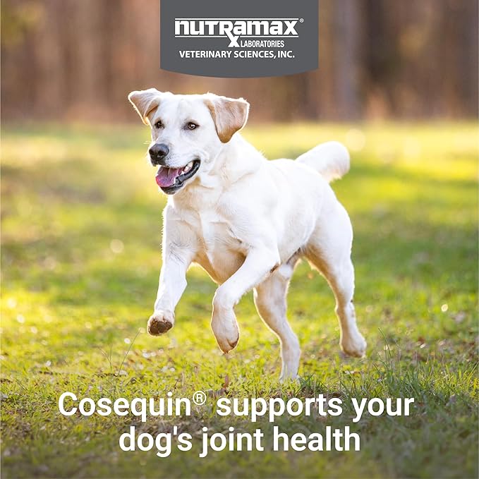 Nutramax Cosequin Maximum Strength Joint Health Supplement for Dogs - With Glucosamine, Chondroitin, and MSM, 60 Chewable Tablets