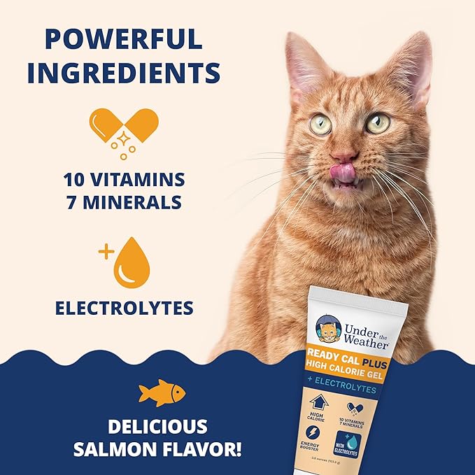 Under the Weather Pet Electrolytes Ready Cal Plus Gel for Cats | Vet-Formulated High-Calorie Supplement for Cats & Kittens | Promotes Weight Gain & Boosts Energy for Sick Felines | 3.5 Oz Tube Pack