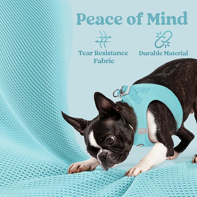 rabbitgoo Small Dog Harness, Step-in Soft Mesh Puppy Vest with Safety Buckle, Breathable Reflective Pet Harness for Small Sized Dogs, Mint Blue S
