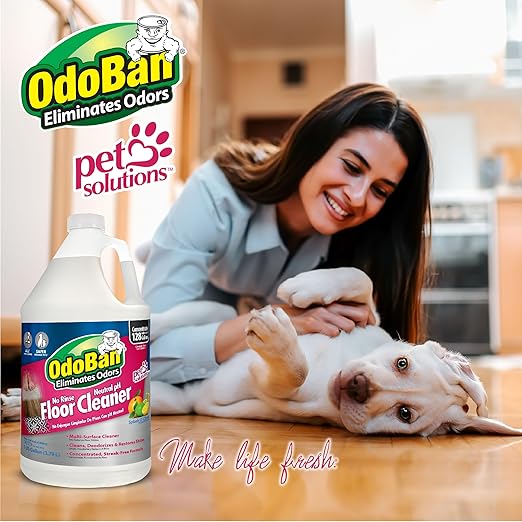 OdoBan Pet Solutions No Rinse Neutral pH Floor Cleaner Concentrate, Made in the USA, Splash O' Citrus Scent, 3 Gallons