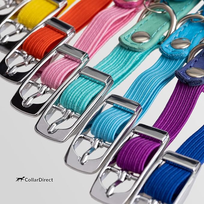CollarDirect Leather Cat Collar, Cat Safety Collar with Elastic Strap, Kitten Collar with Bell Black Blue Red Orange Lime Green (8-11 Inch, White)