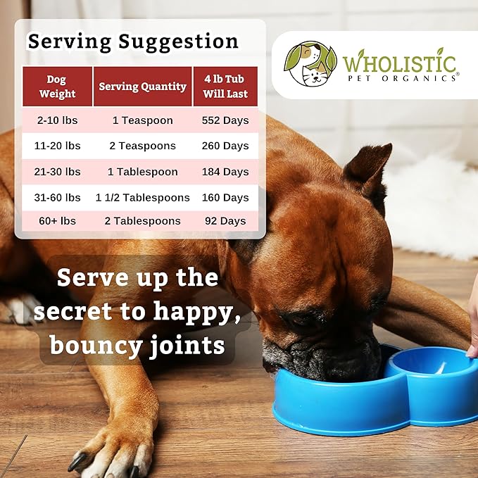 Wholistic Pet Organics Joint Supplement: Joint Mobility with Green Lipped Mussel Daily Joint Health Supplements for Dogs - Dog Glucosamine Powder with MSM, Probiotics, Vitamins, Minerals - 4 Lb
