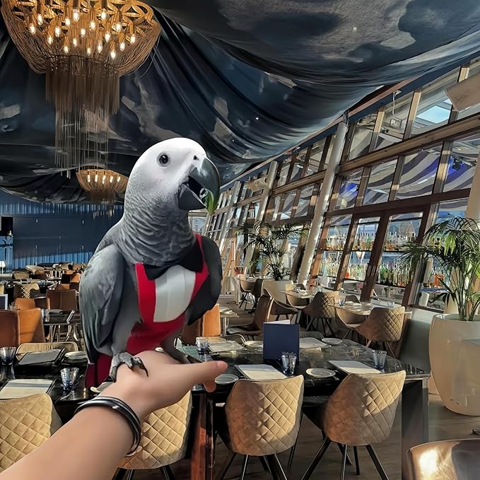 Bird Diapers with Bow Bird Harness Tuxedo Flight Suits with 80in Flying Leash Parrot Nappy with Waterproof Inner Layer Urine Wet Suite for Cockatiel Conure Parakeet Macaw Budgie-Red,XL