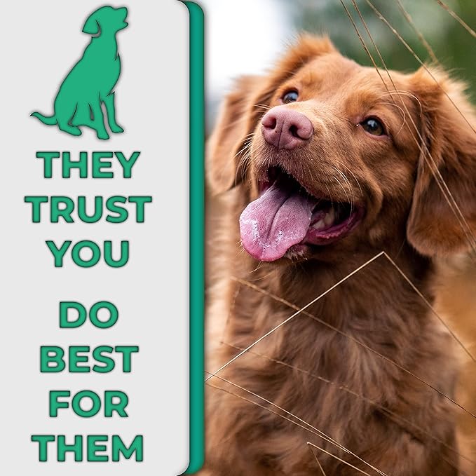 H&H Pets Dog Toothbrushes and Toothpaste Best Professional Cats & Dogs Finger Dental Brush, Dog Brush Set, Perfect for Dogs and Cats, Dog Supplies - Size Small 4 Count 3.5 Oz Toothpaste (100g)