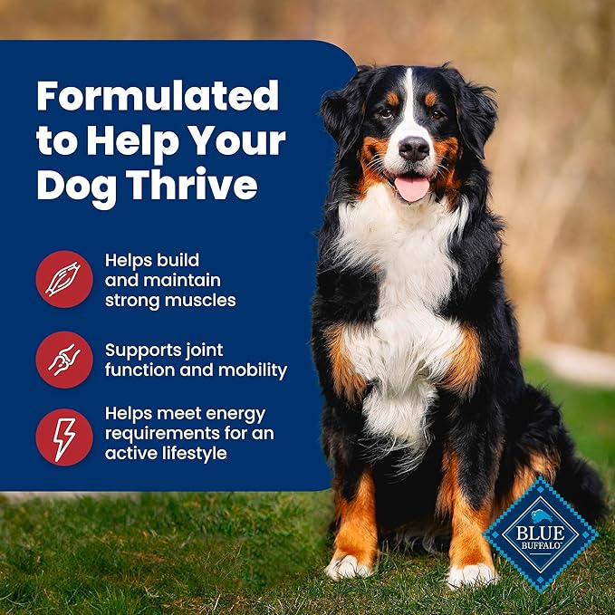 Blue Buffalo Life Protection Formula Adult Dry Dog Food, Helps Build and Maintain Strong Muscles, Made with Natural Ingredients, Beef & Brown Rice Recipe, 40-lb Bag