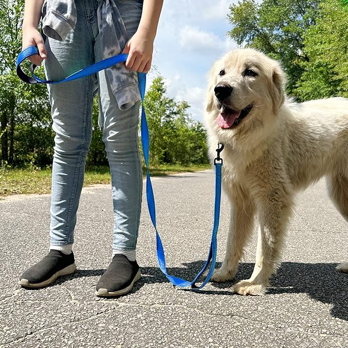 Joytale Dog Leash Heavy Duty for Large Dogs that Pull, Double Handle for Traffic Control, Double-Sided Reflective Leashes for Large Medium Dogs Night Safety, 4FT, Royal Blue