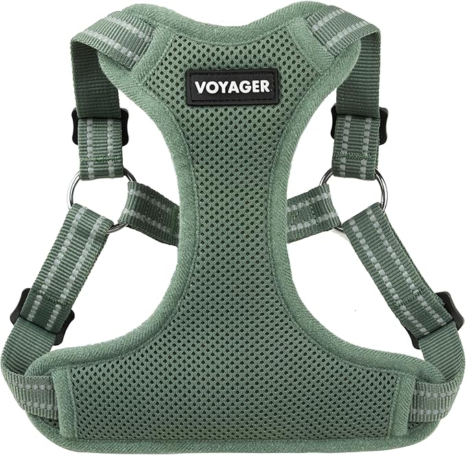 Best Pet Supplies Voyager Adjustable Step-in Flex Breathable Mesh Dog Harness for Small Medium Large Dogs Moss Green, XS