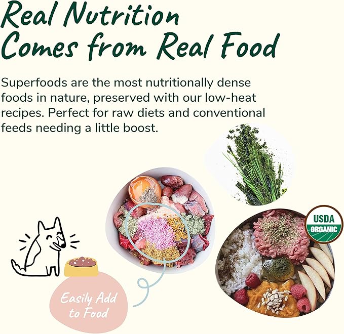 kin+kind Organic Multivitamin for Dogs & Cats - Pet Supplement for Healthy Skin and Coat - Safe, Natural Formula with Wheatgrass, Kelp, Seaweed and Coconut - Made in USA - 4oz (Medium)
