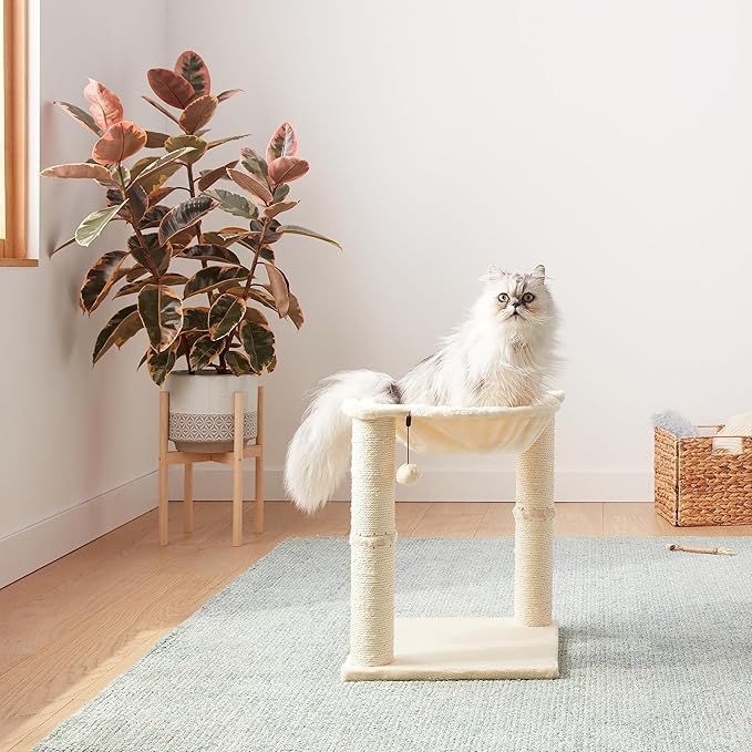 Amazon Basics Cat Condo Tower with Hammock Bed and Scratching Post,Easy to Assemble,Plush Hammock,Interactive Hanging Ball,Durable Sisal Scratch Posts for Indoor Cats, 15.8 x 15.8 x 19.7 Inches, Beige
