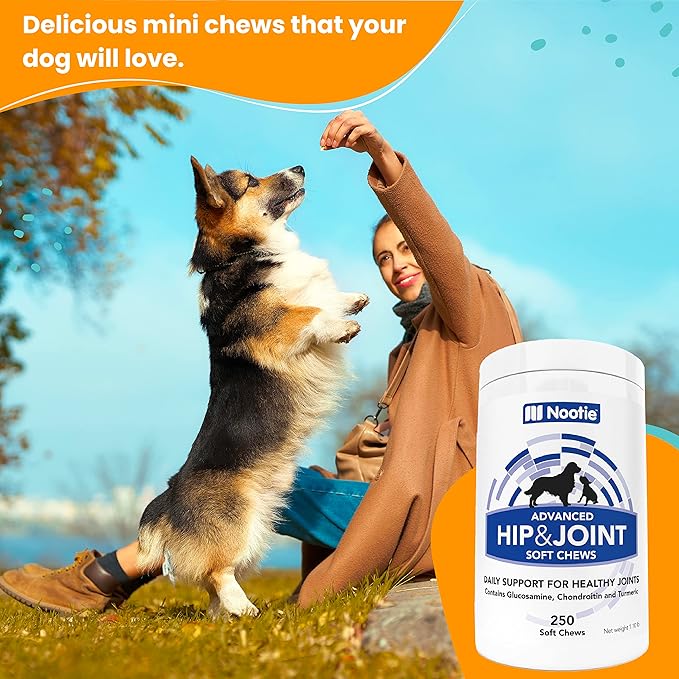 Nootie Glucosamine for Dogs - 250 ct - Hip and Joint Soft Chews Supplement for Dogs - Daily Dog MSM Chondroitin Chews with Turmeric - Joint Care Vitamins for All Breeds and Sizes USA
