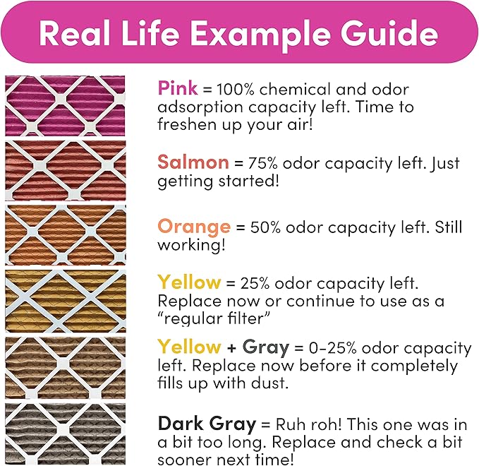 Colorfil 14x25x1 Air Filter (2-Pack) | Made in the USA | Color Changing | Remove Cat and Dog Odor | MERV 8 for Pet Hair Dander and Dust | 13.5"x24.5"x0.75" Exact Size