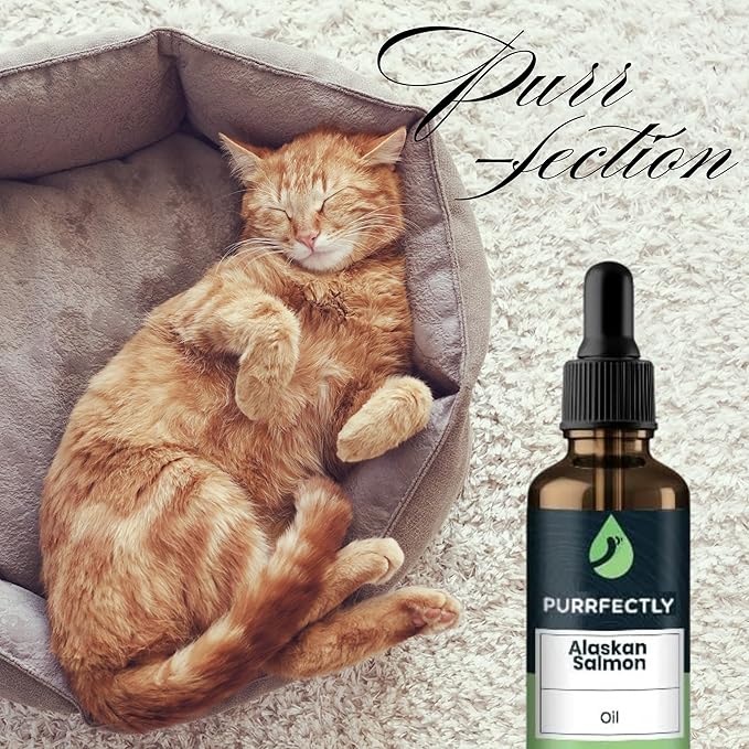 PURRFECTLY Omega-3 Fish Oil for Cats | Premium Senior Blend | Promotes Heart, Immune, Coat & Joint Health | Advanced Alaskan Salmon Oil for Aging Cats | Omega 3, 6 & 9 EPA & DHA (4 Fl Oz (Pack of 1)