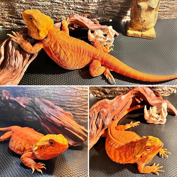 Reptile Mat 40 Gallon 1Pack 18x36, Bearded Dragon Tank Accessories, Terrarium Liner Bedding, Non-Adhesive Reptile Substrate Mat for Leopard Gecko, Snake, Lizard, Tortoise, Iguana Tank