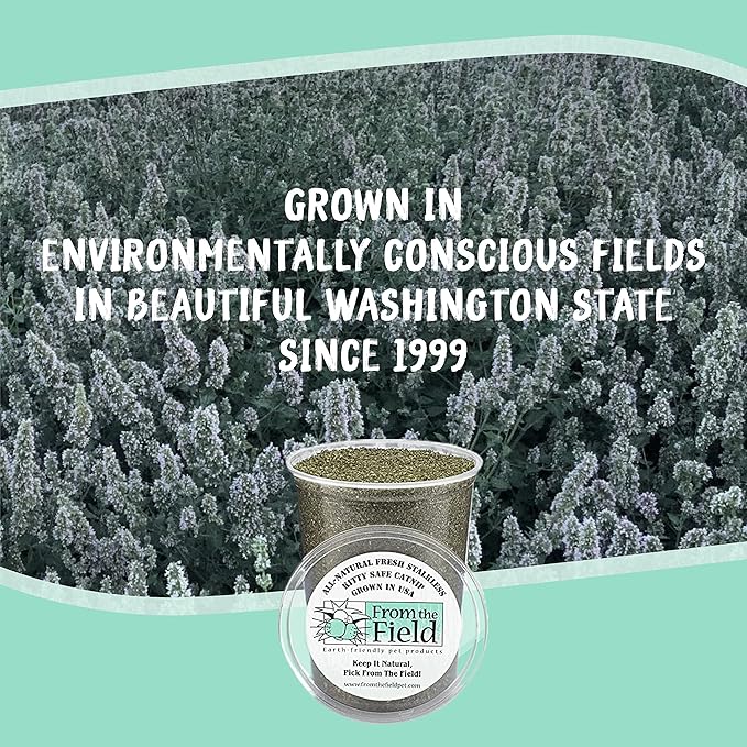 from The Field | Fine Ground Stalkless Catnip | Premium USA-Grown Catnip for Toys & Playtime | Fresh, Potent, Non-Toxic, Eco-Friendly | Safe for Kittens & Cats | Resealable 6 oz Tub