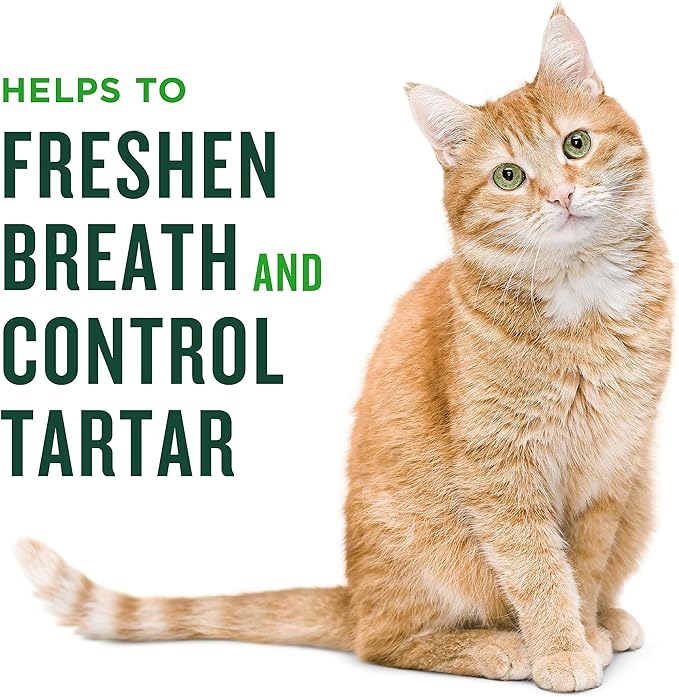 Minties Dental Treats for Cats, Salmon Flavored Treats for Cats, Freshens Breath and Controls Tartar, 2.5oz