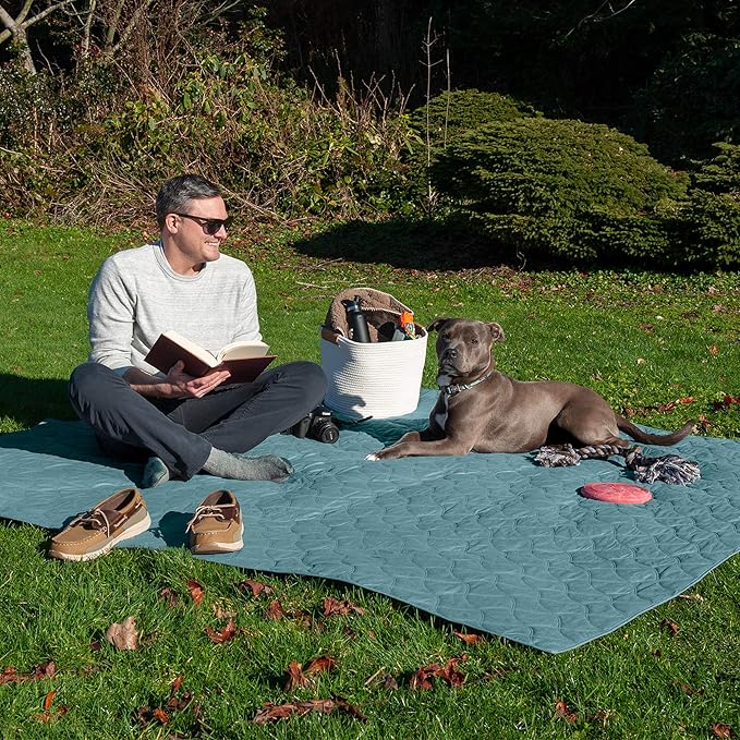 Furhaven Waterproof & Non-Slip Queen Size Mattress Cover Protector for Dogs & Cats, Washable, For Beds, Couches, & Car Seats - Quilted Twill Blanket Mattress Cover - Nile Blue, Large/Queen Size