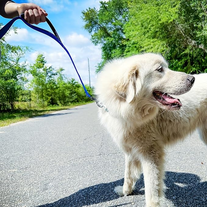 Joytale Dog Leash Heavy Duty for Large Dogs that Pull, Double Handle for Traffic Control, Double-Sided Reflective Leashes for Large Medium Dogs Night Safety, 4FT, Royal Blue