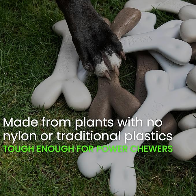 2-Pack Non-Toxic Dog Toys - Sustainable Roasted Peanut Butter Flavored Dog Chew Toys for Aggressive Chewers - Plant-Based Bioplastic Pet Toys - Made in The USA (Mini)