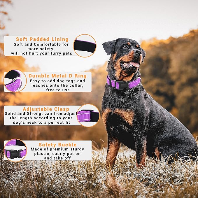 2 Pack Reflective Dog Collar with Safety Locking Buckle, Adjustable Soft Breathable Comfortable Nylon Pet Collar for Small, Medium and Large Dogs, Rosered, S