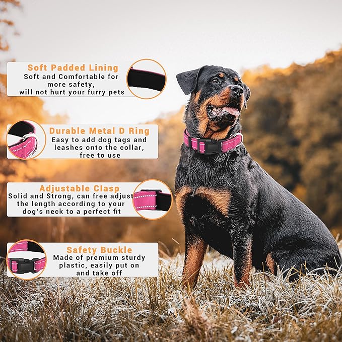 2 Pack Reflective Dog Collar with Safety Locking Buckle, Adjustable Soft Breathable Comfortable Nylon Pet Collar for Small, Medium and Large Dogs, Hotpink, XL