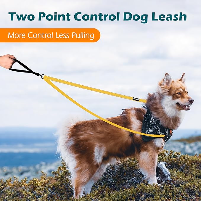 PetBonus Two Point Control Dog Leash, Works with No Pull Harnesses, No Tangle Training Leashes, Soft Padded and Reflective Walking Lead, Converts to Single Lead for Medium Large Dogs (Yellow)